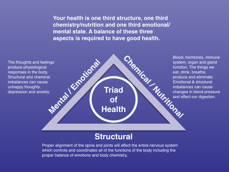 triad-of-health-chart.001-768x576.jpg
